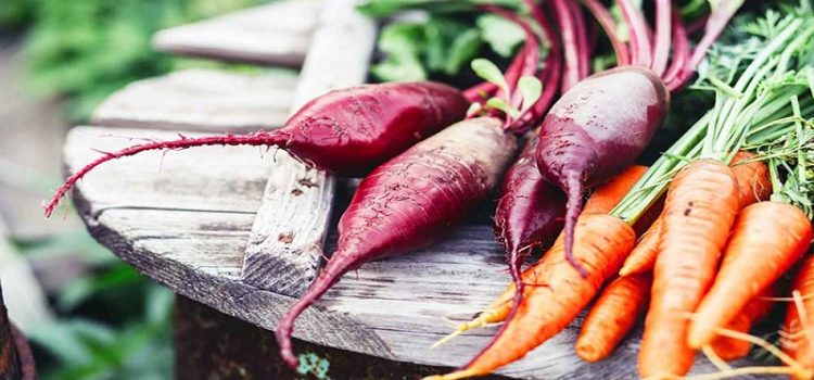 بعد از عمل جراحی صفرا یا کله سیستکتومی چه غذا هایی را بخوریم رژیم غذاییی بیماران صفرایی